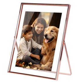 2Pcs Standing Rose Gold Metal Picture Frames 5x7IN 8x10IN Vertical Tabletop Floating Photo Frame Double-Glazed Glass Pressed Flower Frame for Home Dec (Option: 2PcsPictureFrameL)